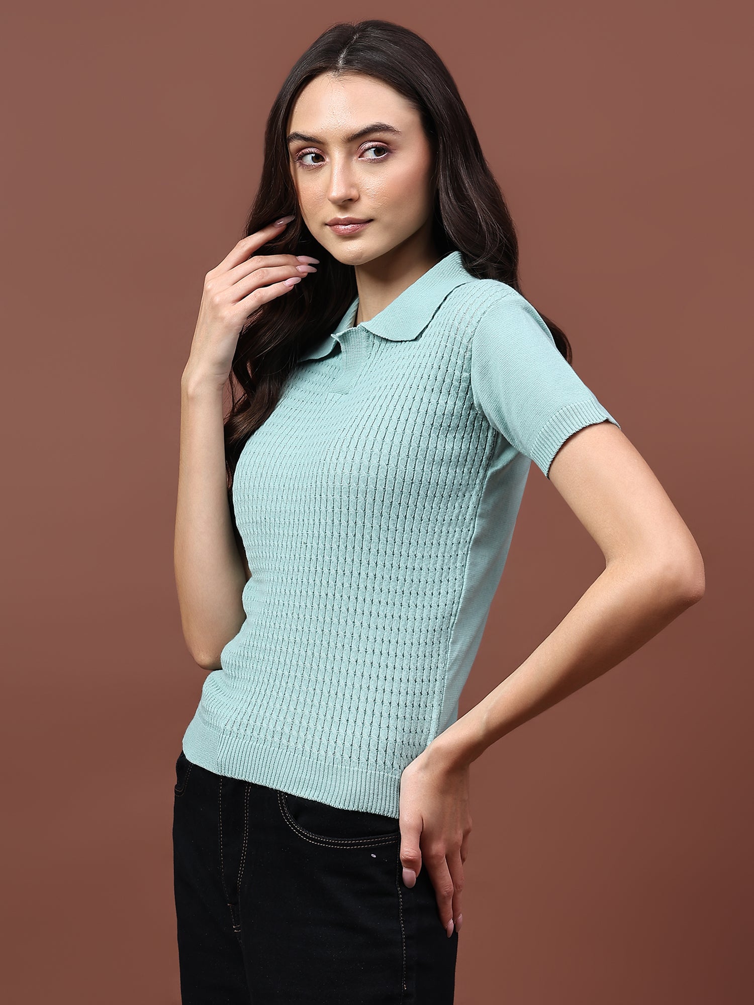 FEVERFEW Casual Regular Sleeves Solid Cable Knit Women   Top