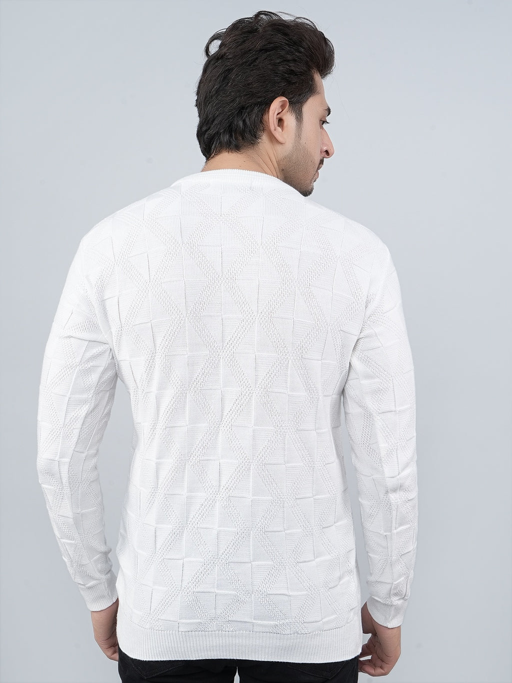 FEVERFEW Men Self Design Round Neck Sweater