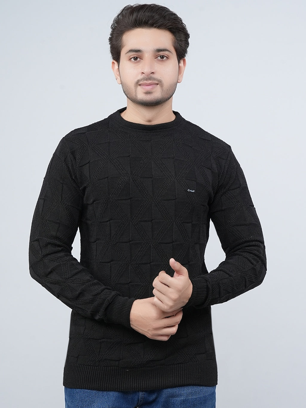 FEVERFEW Men Self Design Round Neck Sweater