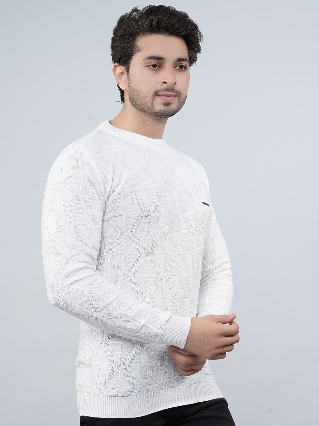 FEVERFEW Men Self Design Round Neck Sweater