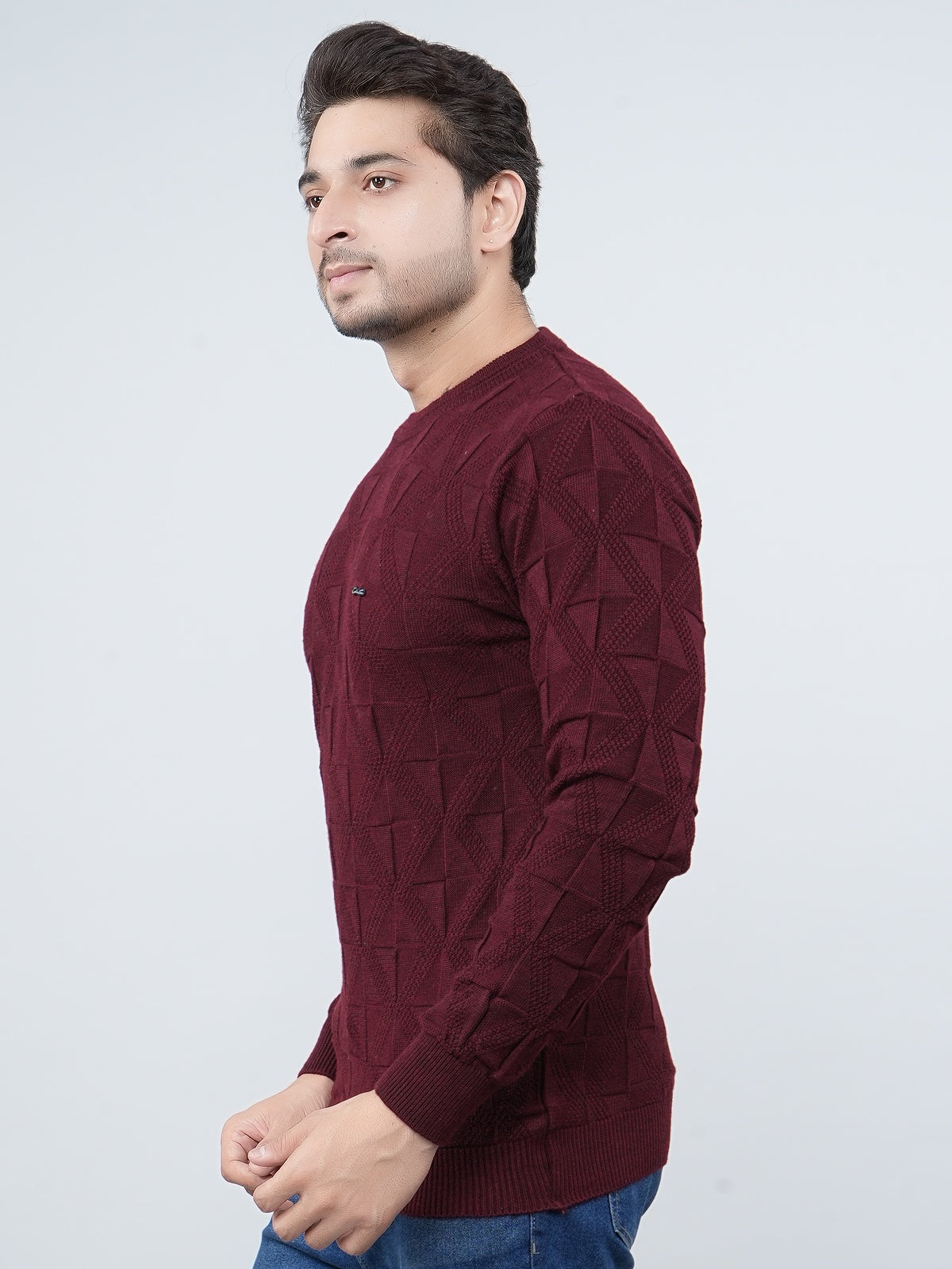 FEVERFEW Men Self Design Round Neck Sweater