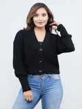 FEVERFEW Women Self Design V Neck Sweater