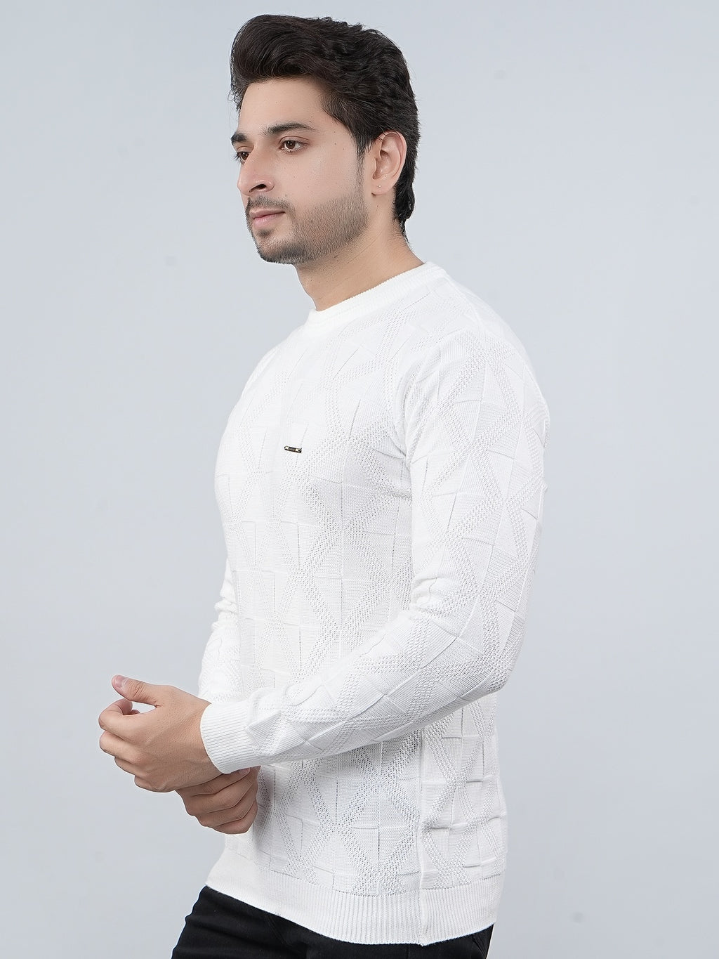 FEVERFEW Men Self Design Round Neck Sweater