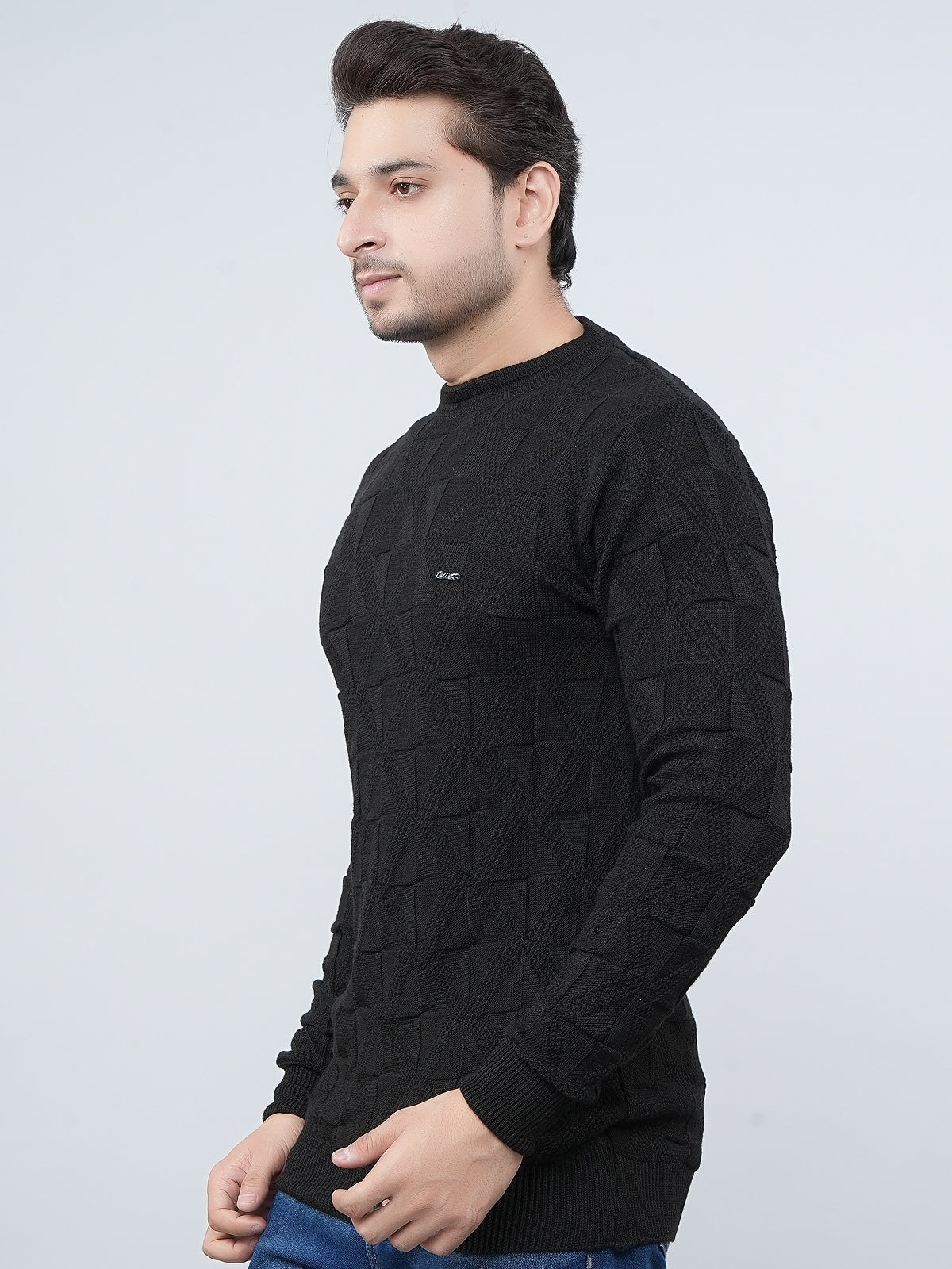 FEVERFEW Men Self Design Round Neck Sweater