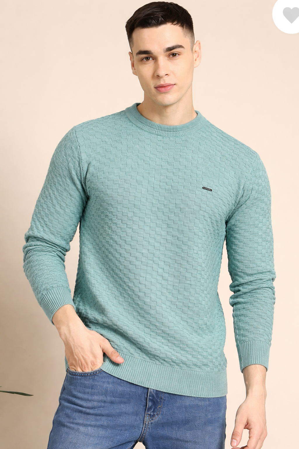 FEVERFEW Men Self Design Round Neck Sweater
