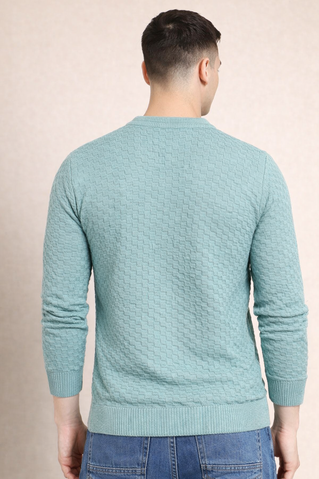 FEVERFEW Men Self Design Round Neck Sweater
