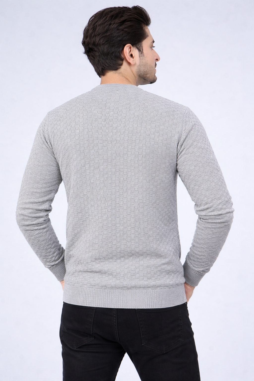 FEVERFEW Men Self Design Round Neck Sweater