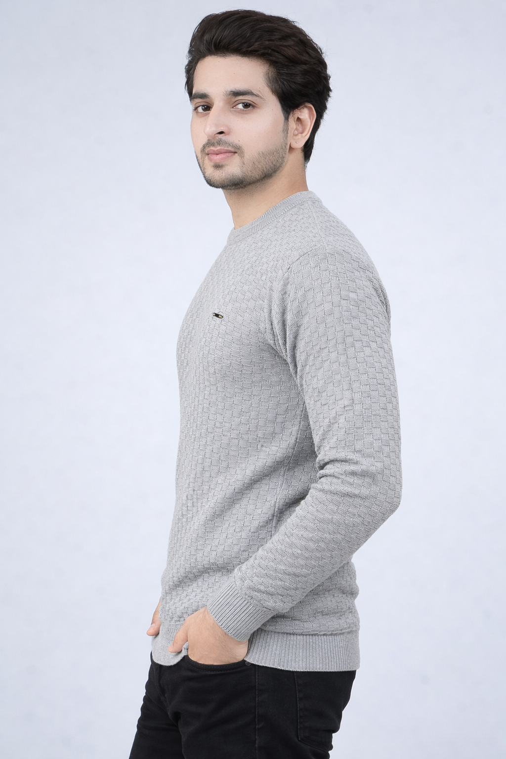 FEVERFEW Men Self Design Round Neck Sweater