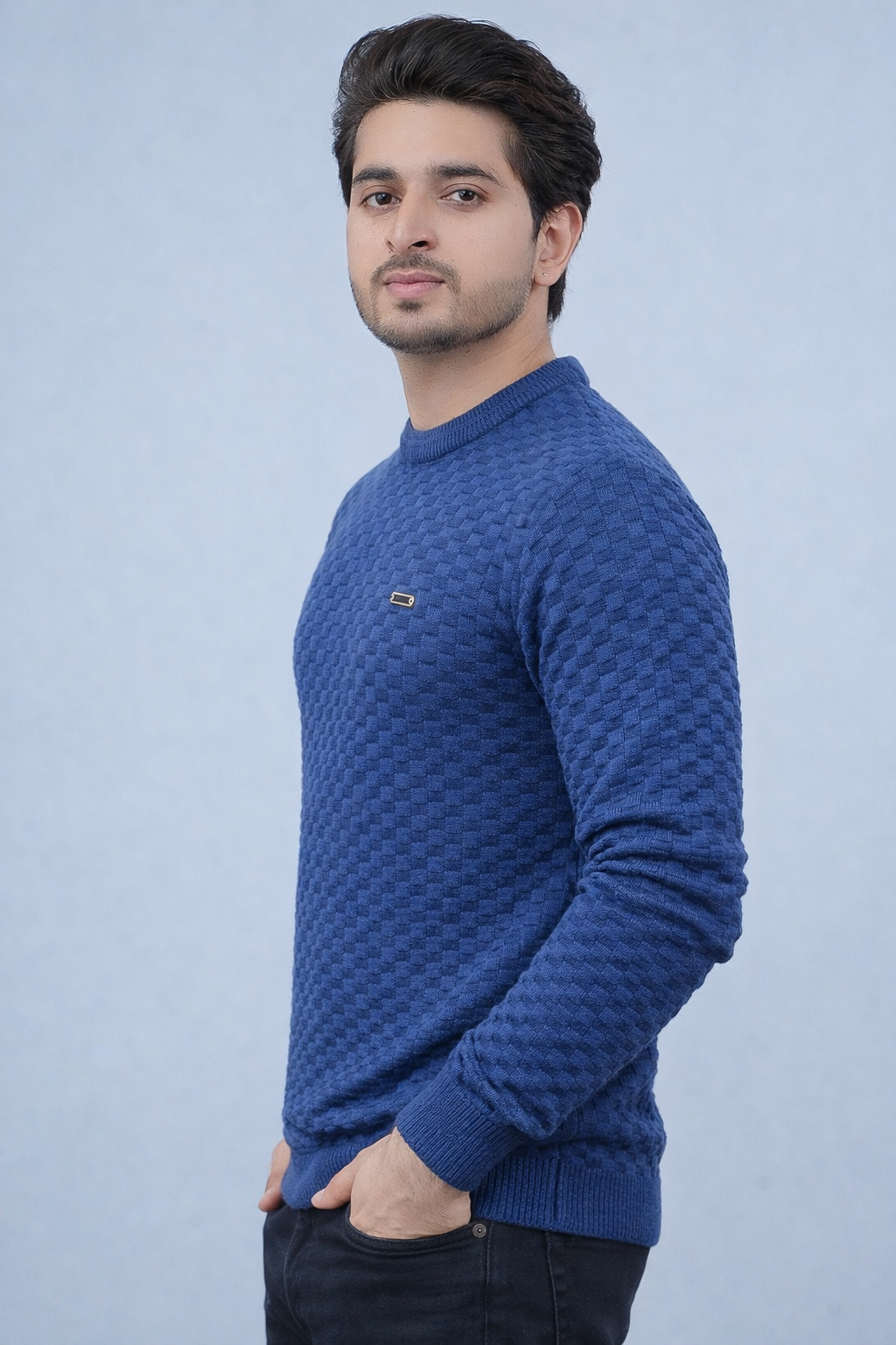 FEVERFEW Men Self Design Round Neck Sweater