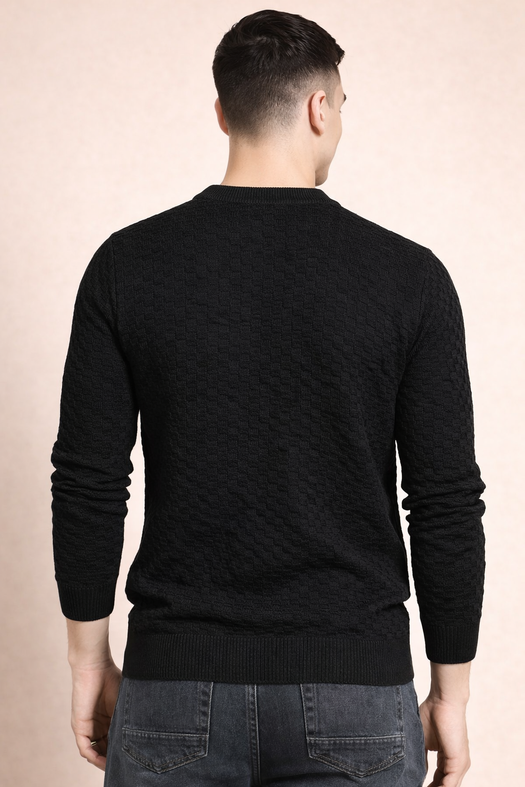 FEVERFEW Men Self Design Round Neck Sweater