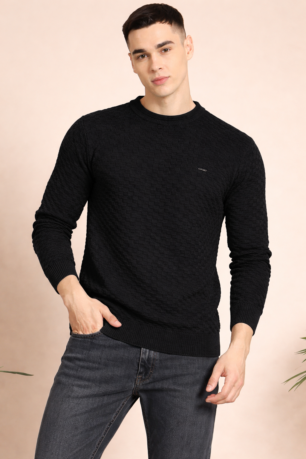 FEVERFEW Men Self Design Round Neck Sweater