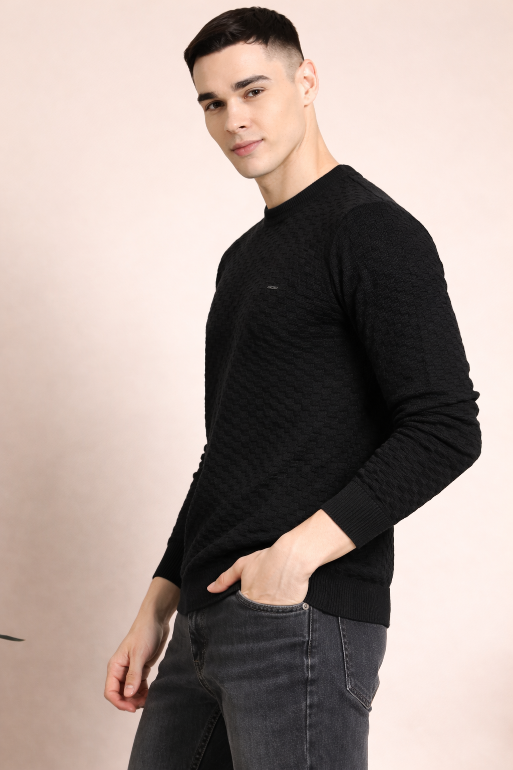 FEVERFEW Men Self Design Round Neck Sweater