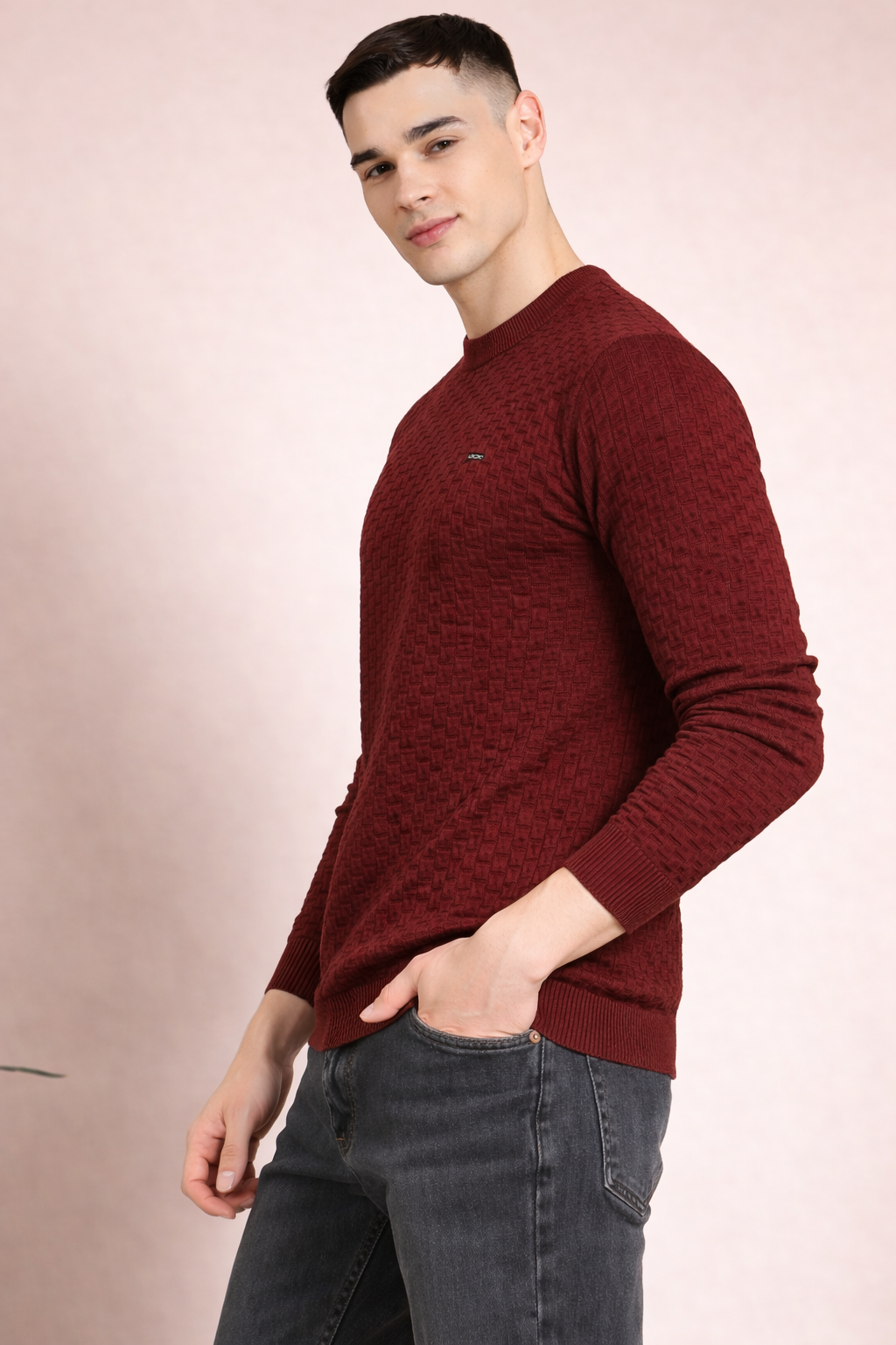 FEVERFEW Men Self Design Round Neck Sweater