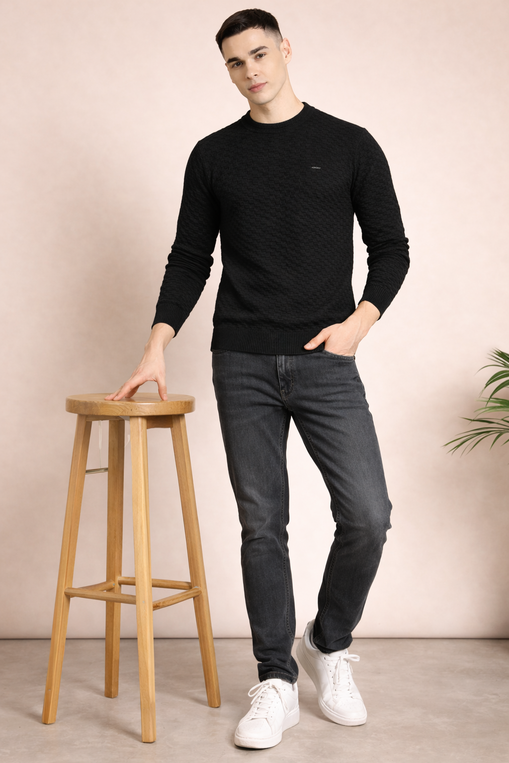FEVERFEW Men Self Design Round Neck Sweater