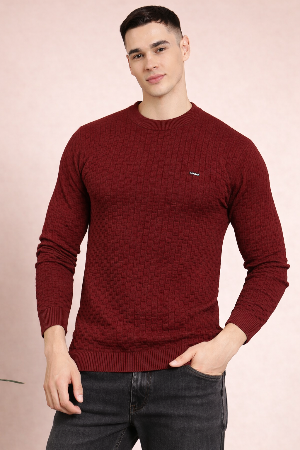 FEVERFEW Men Self Design Round Neck Sweater