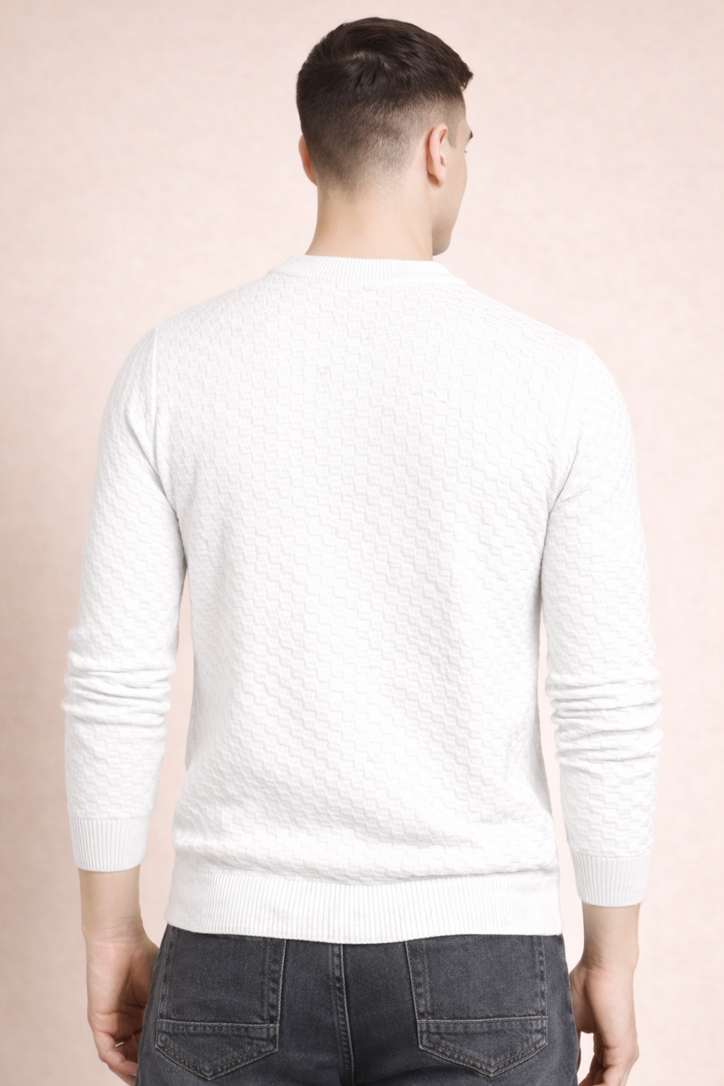 FEVERFEW Men Self Design Round Neck Sweater