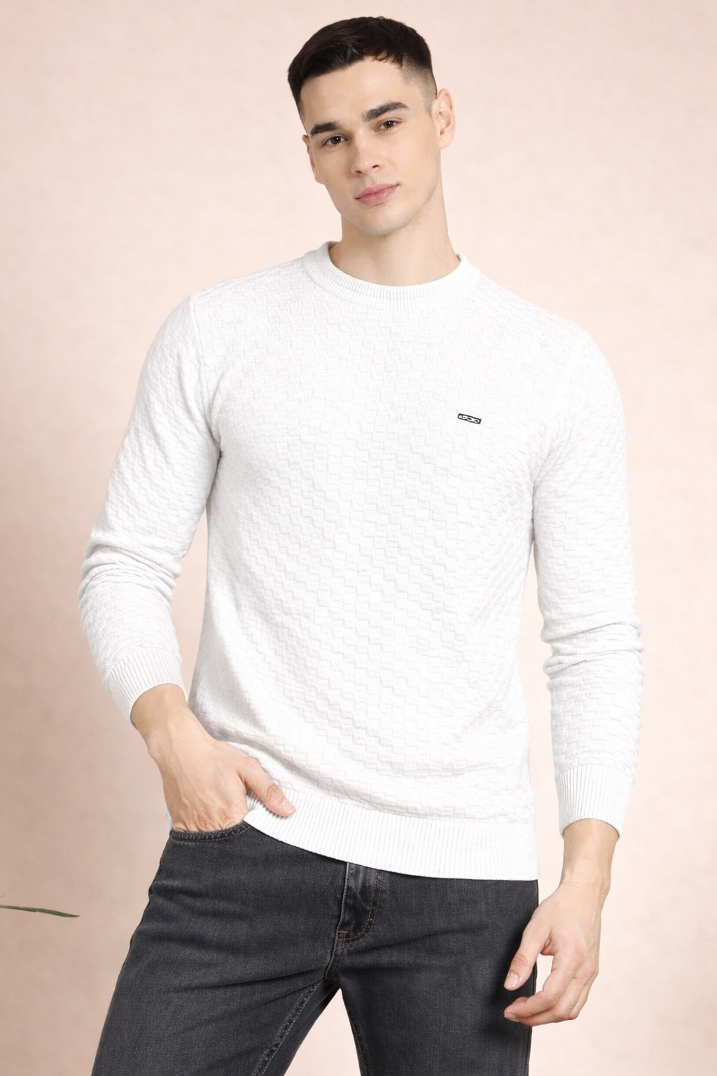FEVERFEW Men Self Design Round Neck Sweater